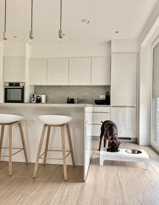 Rico Cat/Dog Feeder - White